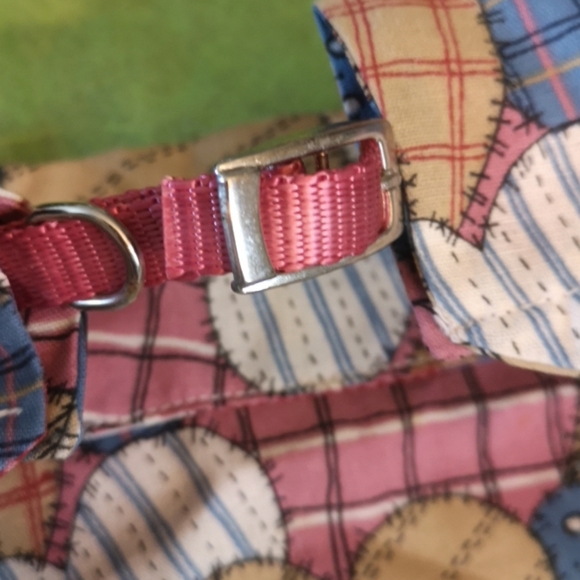 ❤️ Female puppy Training Pants xs - Picture 15 of 16